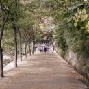 문경새재아리랑 이미지