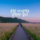 [전남 순천] 11월 가을여행 가기 좋은 관광명소 &#34;순천만습지&#34; 일몰시간에 맞춰가서 인생사진 남기자!!