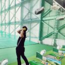 궁전라벤더 이미지