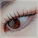 다인채널 | 왜 내 눈썹만 맨날 힘이 없을까? 뷰티다인