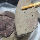 빨강 호랭이 이미지