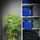 스타복싱 체육관 이미지