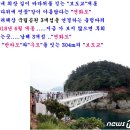 반화도 Daum카페