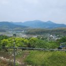 맹종죽순체험길 네이버블로그