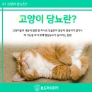 형곡동물병원 이미지