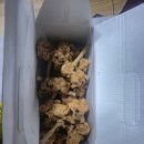 나정푸드 | ​[남원 맛집] 치킨보다 쫄깃한 매력! '나정오리꽃날개튀김' 솔직 포장 후기 ​