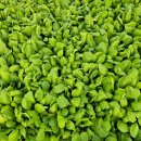 천북농업협동조합 이미지