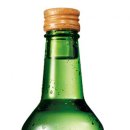 트로피칼 이미지