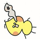 프레종 이미지