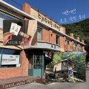 미니 | 초호 Forest_mini(포레스트 미니) 내돈내산 후기