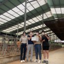 부부한우목장 이미지