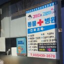 24시 인천동물병원 치료해주오 | 인천 남동구 광견병 예방접종 지원받고 광견병 주사 맞은날