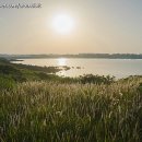 별방으로의 산책 이미지