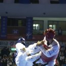 참다운태권도 이미지