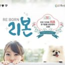 미래펫동물병원 올치올치