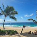 최강 명문체육관 이미지