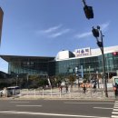 [밥&amp;여행일기] 10/9 (수) 식단일기 여자혼자강릉여행 : 옛성도물회국수, 호텔아비오, AM 까페