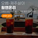 [제주 내돈내산] 1월의 한여름?! 산방산 뷰 대형카페 '원앤온리' (ft. 기분 좋은 러쉬 향기)