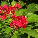 청아여관 이미지