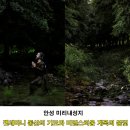 겟세마니 동산 | [겟세마니 동산의 기도와 비밀스러운 계속의 불빛] 안성 미리내성지