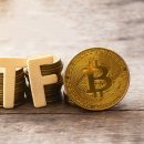 “월가 금융자문가 77%, 비트코인 ​​현물 ETF 출시 기대…절반은 이미 BTC 보유중” 이미지