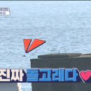 돌고래하우스 이미지