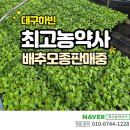 대구농약사 이미지