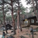 칠보산숲길 | 영덕 칠보산자연휴양림 숲속의집 옥잠화 1박2일 여행 기록_26.2월