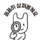 우디헤어 이미지