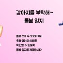 강아지를 부탁해(돌봄) 이미지