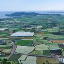 서호초등학교 병설유치원 이미지