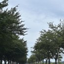 마나긔 하우스 이미지