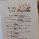 아셀클린 | 고양이 물티슈 애견 물티슈 아셀 스킨앤코트 클린티슈 사용후기