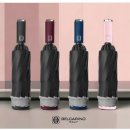 (주)벨카리노 이미지