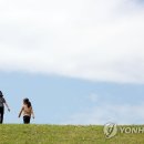 걸어서하늘까지