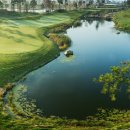 그린샷 골프클럽 이미지