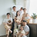 브로콜리스튜디오 이미지