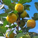 주하농장 이미지