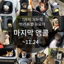 앨리스켄넬 | 로얄테일즈 앨리스 강아지유모차, 동네산책 갈 때도 타요타요!