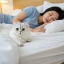 알콩달콩 이미지