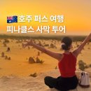 주식회사 퍼스 | 호주 퍼스 여행 피나클스 사막 투어 정말 알찼던 당일치기