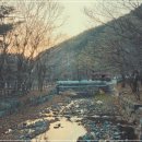 성주산자연휴양림 이미지