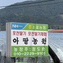 서울 근교 포천 딸기체험 🍓 아딸농원에서 힐링하고 온 날