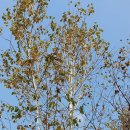 웰컴투코리아센터 이미지