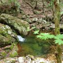 산장민박 이미지