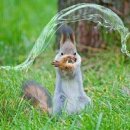 왔구나PC방 이미지