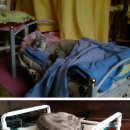 야옹야옹 이미지