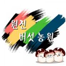 원진농원 네이버블로그