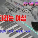 기다리는 여심/전자올겐 연주 이미지