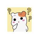 스테이 서로 이미지